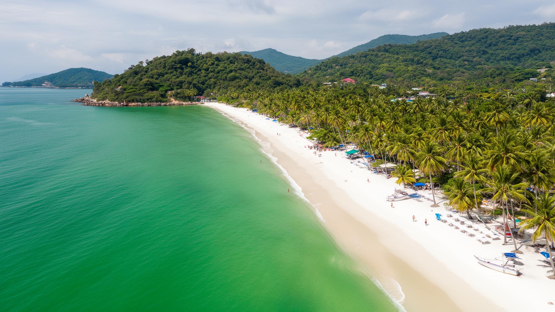 Aerial view of palm-lined white sand beach with emerald green water in Phuket, Thailand