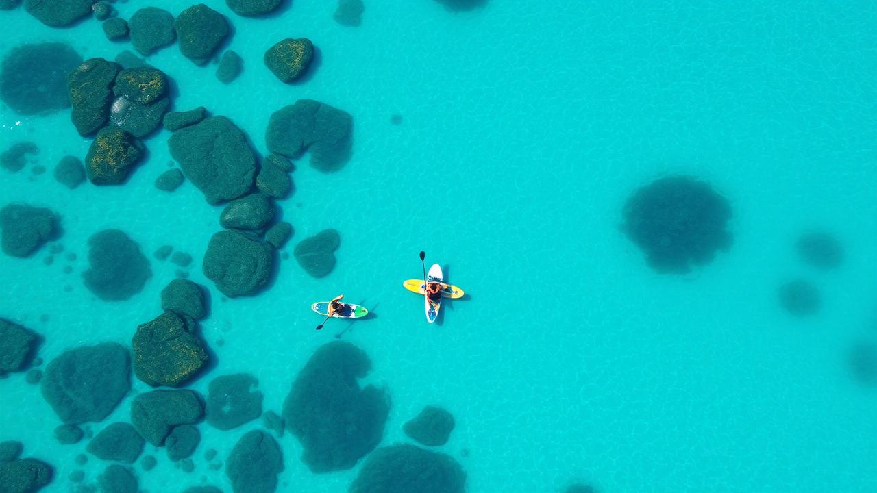 Group of paddleboarders on crystal clear tropical water near palm-lined shore