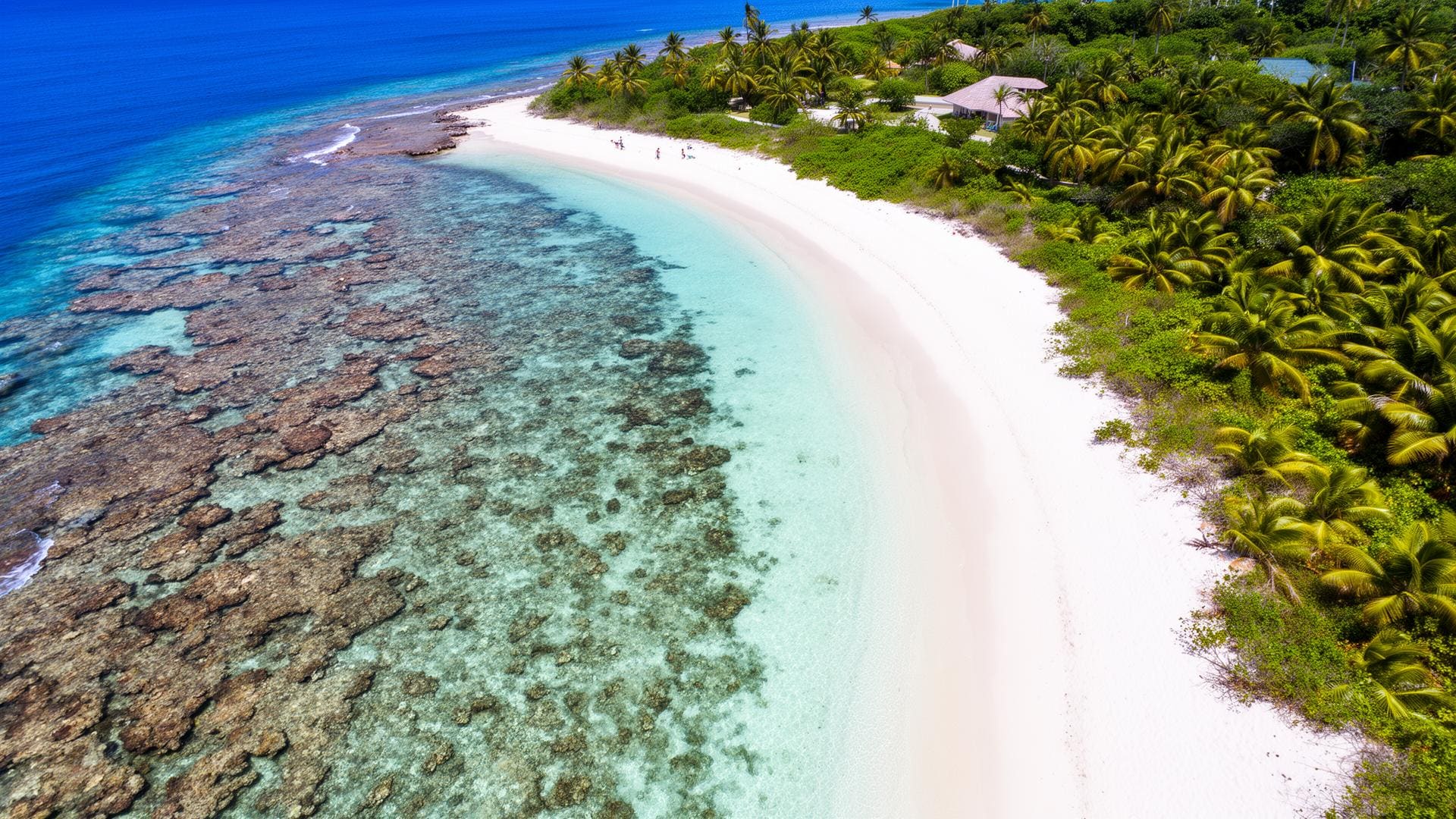 Aerial view of a Caribbean island beach with coral reef visible through crystal clear water