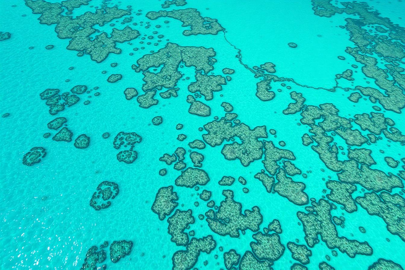 Aerial view of Great Barrier Reef with turquoise water and coral formations